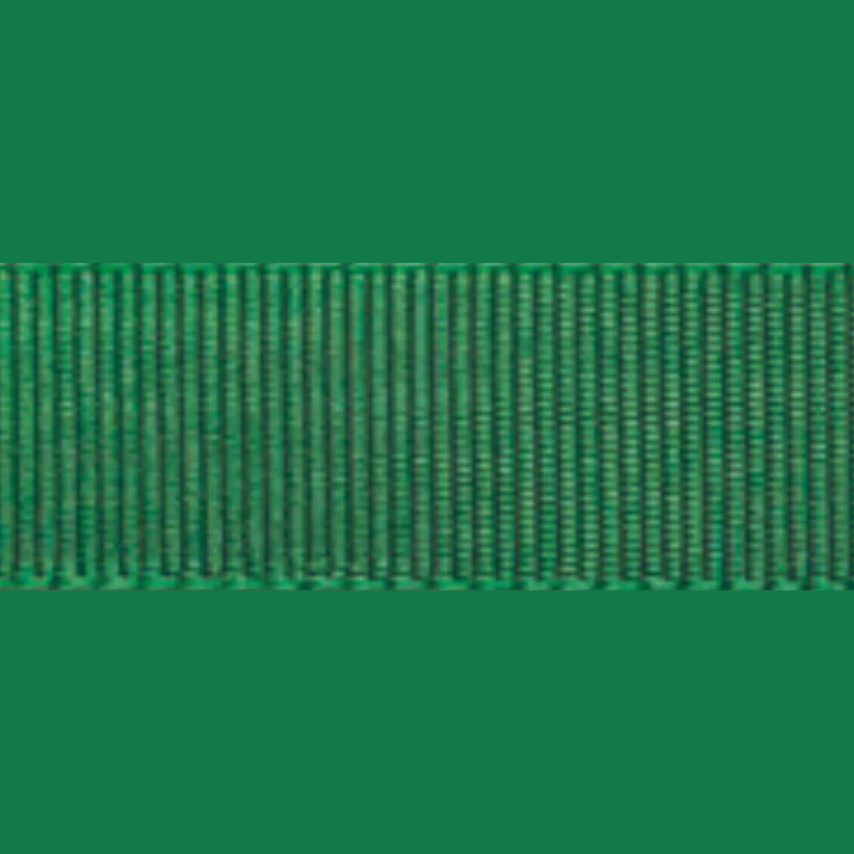 Miniatura 13